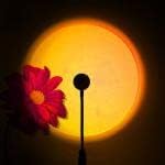 Mini Sunset Rainbow Lamp, Rainbow Projector Lamp, USB Powered Atmosphere Night Light, Photography Background Lights Home Decoration(Colorful)