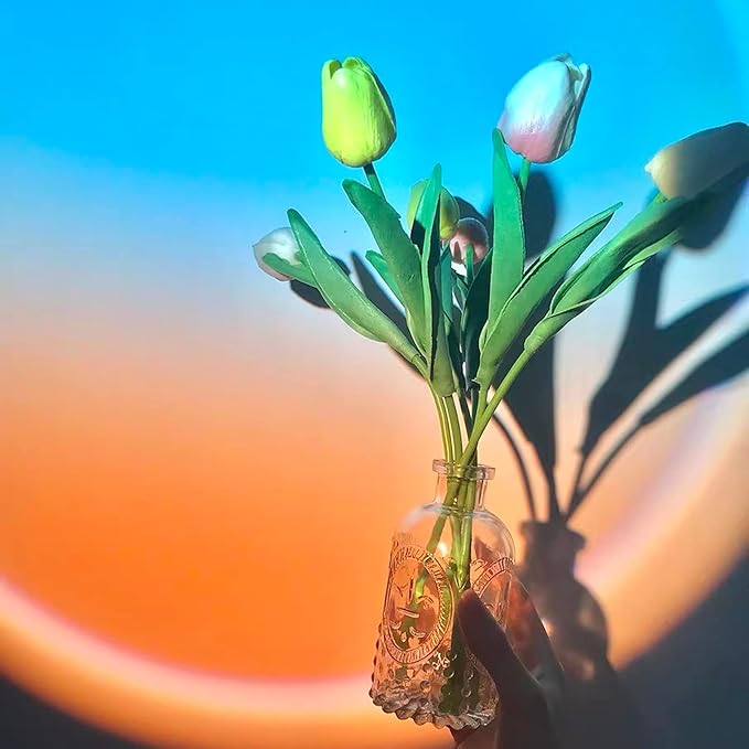 Balkwan Sunset Lamp Projection Rotation Rainbow Projection Lamp Led Romantic Visual Led Light Network Red Light with USB Modern Floor Stand Night Light Living Room Bedroom Décor (Sky Blue)