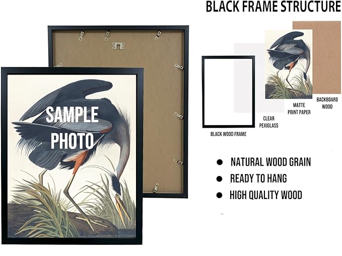 Duck Cowboy Art Print Poster Wall Art, Western Country Farmhouse Wild West for Bedroom, Bathroom, Living Room Art Decor 58 (Duck, 8 x 10 inches, Black Frame)