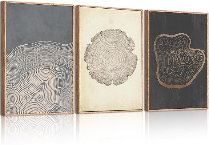 Anyzal Neutral Tree Ring Wall Art Modern Wood Stump Wall Decor 24x36 Inch Set of 3 for Living Room Bedroom Dining Room