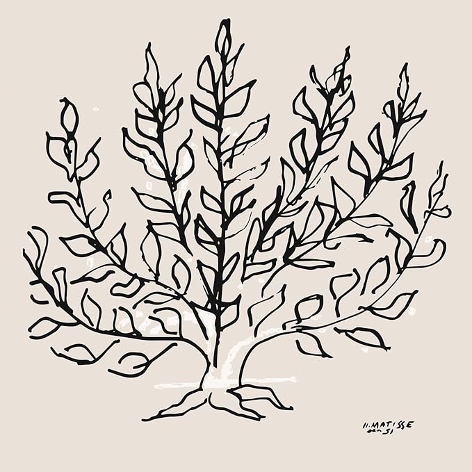 Framed Matisse Abstract Neutral Wall Art, 5 Piece Large Beige Canvas Prints Set, Modern Minimalist Geometric Botanical Paintings for Living Room, Bedroom, Hallway, Home Office, Guest Room