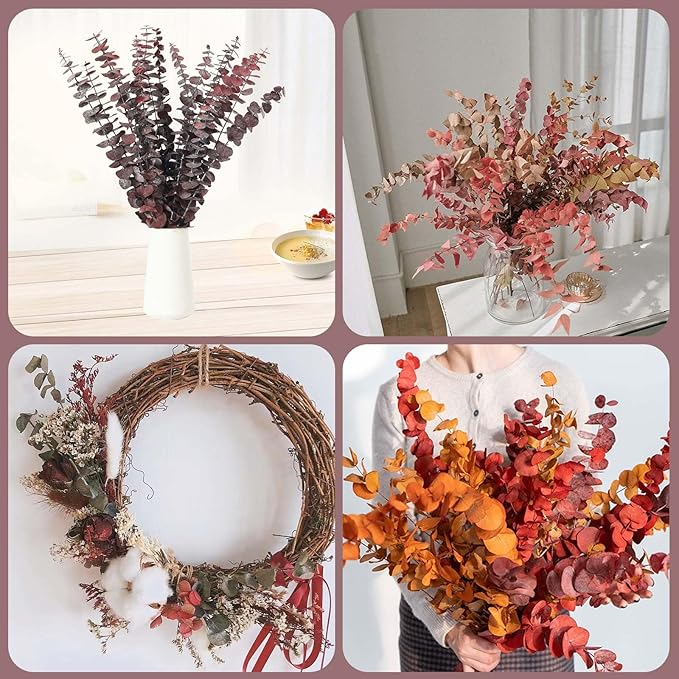 16 Pcs Dried Eucalyptus Stems, 17'' Natural Fresh Eucalyptus Leaves Branches Hanging for Shower, Preserved Real Red Plant Live Greenery for Home SPA Wall Bathroom Wedding Party Vase Decor
