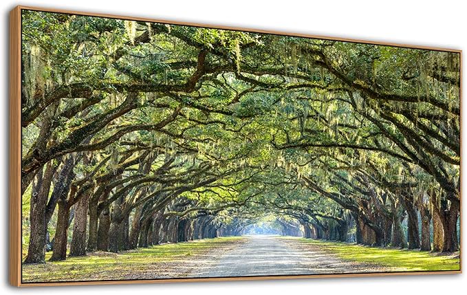 arteWOODS Green Forest Framed Canvas Wall Art Oak Trees Covered Lane Pictures Art Print Green Nature Landscape Artwork Oak Trees Lined Road at Georgia, Natural Wood Frame, Ready to Hang, 20" x 40"