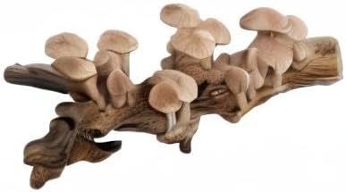 Barydat Resin Mushroom Decor Cottagecore Mushroom Wall Decor Vintage Wall Hanging Sculpture Vintage Farmhouse Hanging for Home Bedroom Living Room Birthday Gift