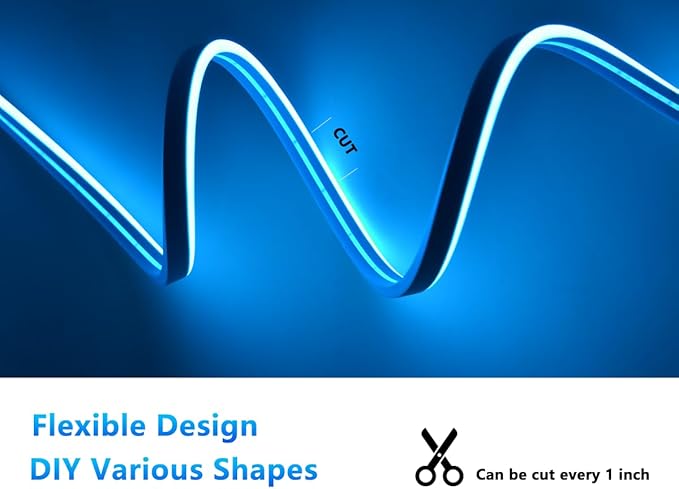 Neon Rope Lights, 16.4ft Rope Lights with Dimmable Remote and Adapter, Waterproof Flexible Smart Led Strip Lights for Bedroom, Super Bright, DIY Neon Sign, Indoors Outdoors Decor, Ice Blue