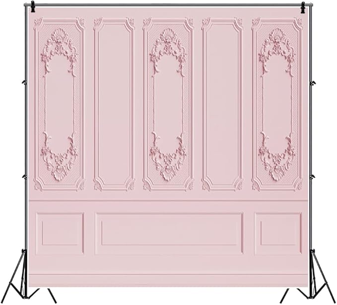 Leyiyi 10x10ft Light Pink Vintage Room Inside Backdrop European Frame Modern House French Castle Cementery Wall Retro Style Photo Background Cowboy Kids Birthday Portrait Studio Props Vinyl Wallpaper
