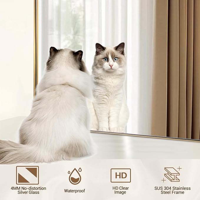 ANDY STAR Brass Scalloped Arched Wall Mirror, 20x30 Brushed Gold Irregular Bathroom Mirror with Curved Design for Vanity, Powder Room, Fireplace, Mantel, Stainless Steel Frame, Anti-Rust