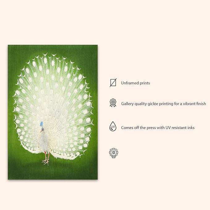 OZCONO White Peacock Wall Art Print, Japanese Style Bird Illustration, Green Background, UV-Resistant Giclée Print (36L x 24W)