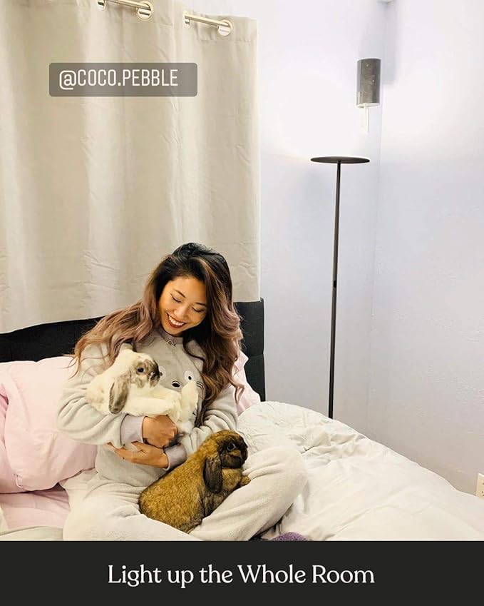 Brightech Sky LED Floor lamp, Torchiere Super Bright Floor Lamp for Living Rooms & Offices - Dimmable, Tall Standing Lamp for Bedroom Reading - Black Chrome