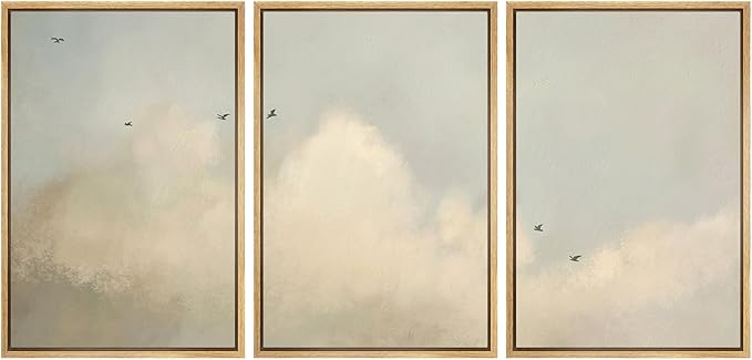 MUDECOR Framed Wall Art Print Set Minimalist Serene Sky with Birds Illustrations Modern Art Boho Decorative Colorful Chic for Living Room, Bedroom, Office - 16"x24"x3 Natural