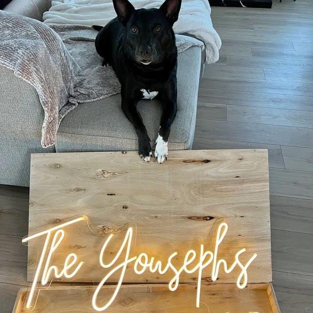 OBTAIN Custom Neon Signs, Neon Sign Customizable for Wall Decor, Personalized Neon Sign for Wedding Birthday Party Gift Party Bar Game Room Home Business Shop Name Logo Neon Sign