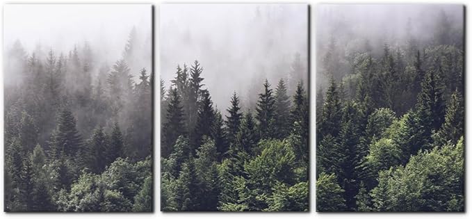 Pacimo Canvas Wall Art Fog Over Pine Tree Forest Nature Wilderness Photography Modern Art Rustic Landscape Relax/Calm Cool for Wall Decor Giclee Artwork Stretch Framed Ready to Hang - 20"x28"x3