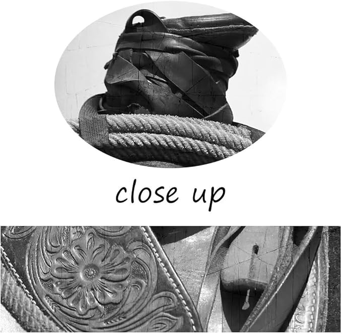 American West Rodeo Cowboy Wall Art Painting Saddle and Rope Picture on Canvas Artwork for Bedroom Living Room Office Home Decortion Prints Framed(18L" x 24W")