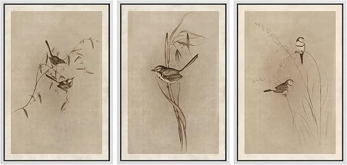 MUDECOR Framed Wall Art Print Set Vintage Bird Wheat Ear Illustrations Modern Art Boho Decorative Colorful Chic for Living Room, Bedroom, Office - 24"x36"x3 White