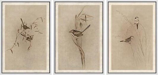 MUDECOR Framed Wall Art Print Set Vintage Bird Wheat Ear Illustrations Modern Art Boho Decorative Colorful Chic for Living Room, Bedroom, Office - 16"x24"x3 White