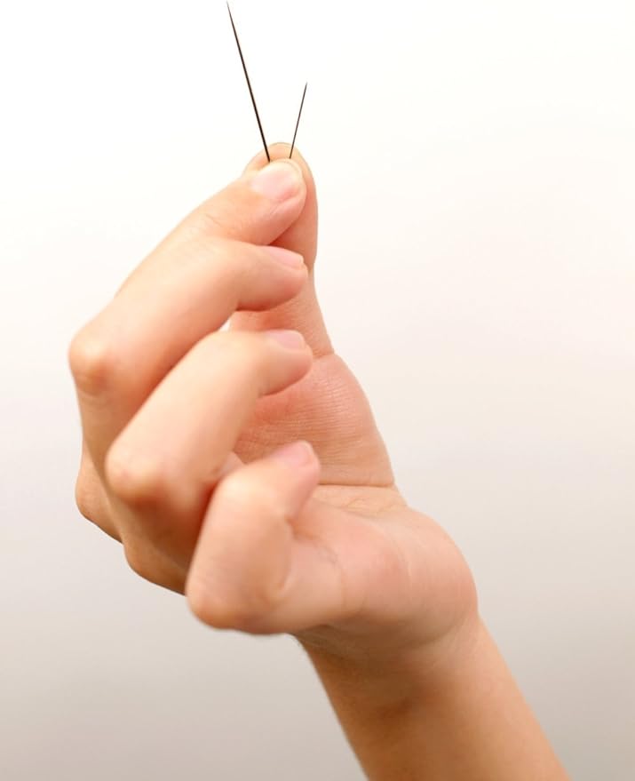 100% Handmade Embroidery Framed Red Crowned Japanese Cranes & Cherry Blossoms Oriental Wall Hanging Art Asian Decoration Tapestry Artwork Picture Gifts 31074WFB1