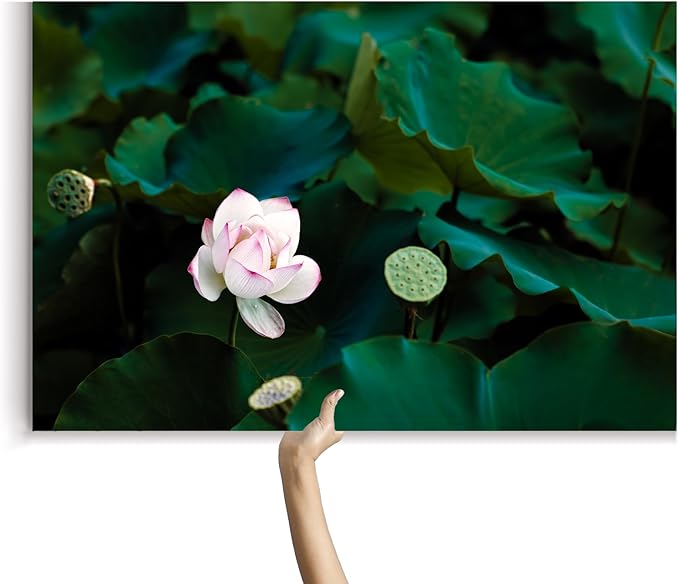 Oriental Beauty: Stunning Feng Shui Landscape Wall Art Prints for Home Decor in 3 Sizes (Serenity of a Lotus Blossom, 24" x 36")