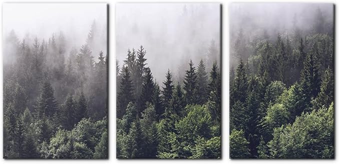 Pacimo Canvas Wall Art Fog Over Pine Tree Forest Nature Wilderness Photography Modern Art Rustic Landscape Relax/Calm Cool for Wall Decor Giclee Artwork Stretch Framed Ready to Hang - 16"x24"x3