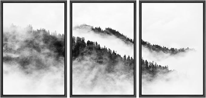 SIGNWIN Framed Canvas Print Wall Art Set Black & White Mountain Forest Valley Nature Wilderness Photography Modern Art Rustic Landscape Relax/Calm for Living Room, Bedroom, Office - 24"x36"x3 Black