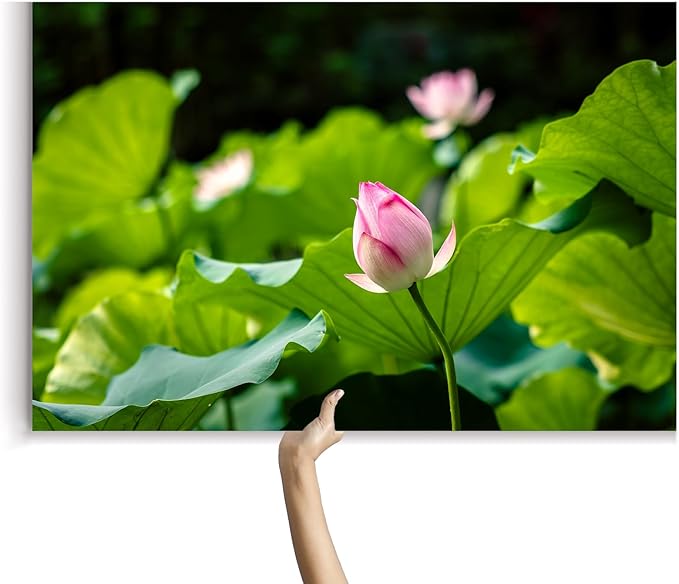 Oriental Beauty: Stunning Feng Shui Landscape Wall Art Prints for Home Decor in 3 Sizes (Serenity in Bloom: Pink Lotus Bud Amidst Green, 24" x 36")