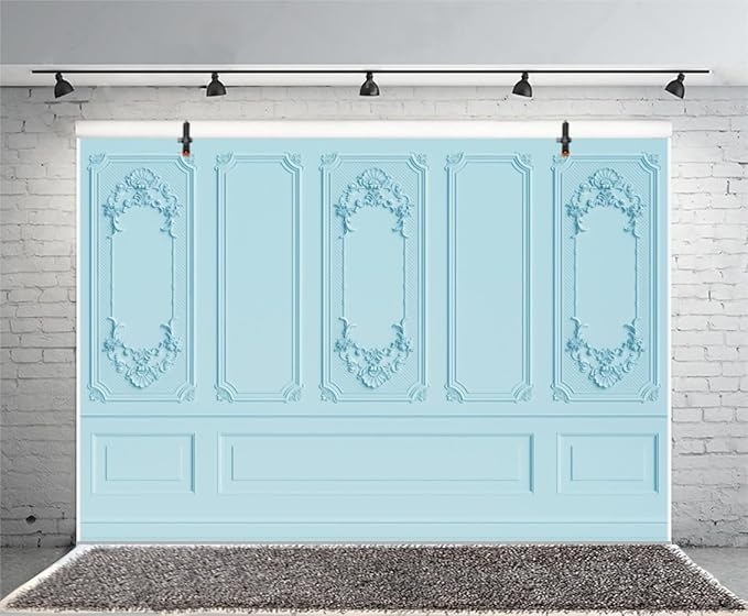 Leyiyi 15x10ft Light Blue Vintage Room Inside Backdrop European Frame Modern House French Castle Cementery Wall Retro Style Photo Background Cowboy Kids Birthday Portrait Studio Props Vinyl Wallpaper