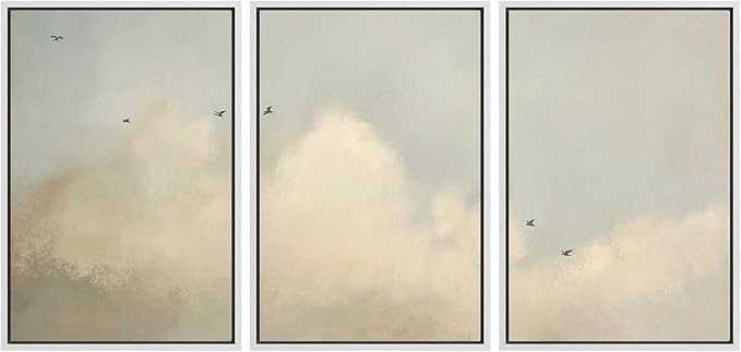 MUDECOR Framed Wall Art Print Set Minimalist Serene Sky with Birds Illustrations Modern Art Boho Decorative Colorful Chic for Living Room, Bedroom, Office - 16"x24"x3 White