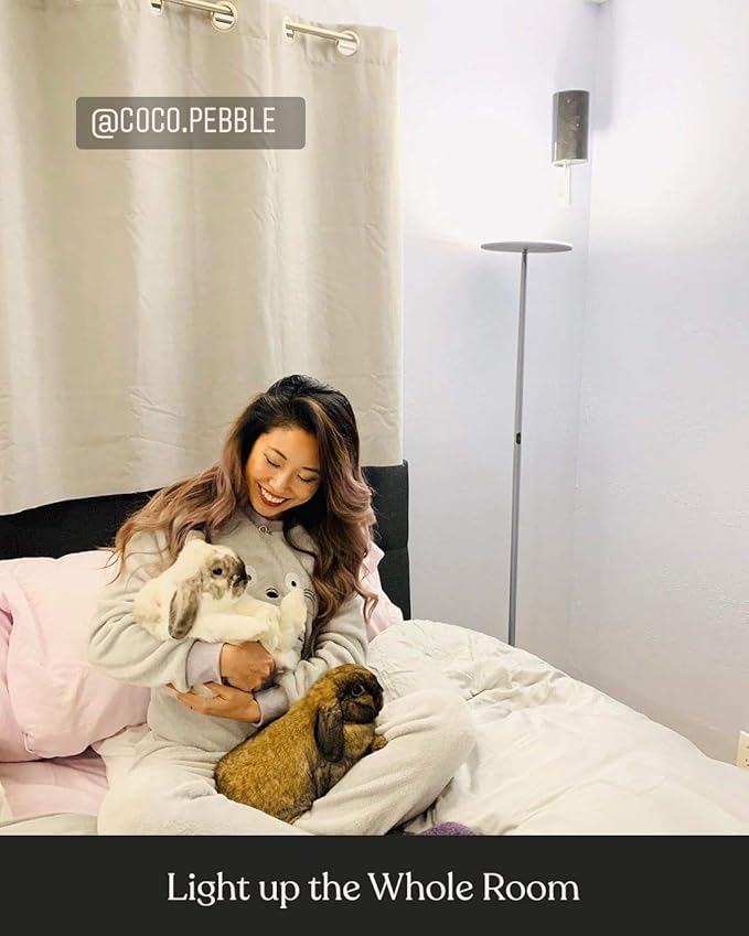 Brightech Sky LED Floor lamp, Torchiere Super Bright Floor Lamp for Living Rooms & Offices - Dimmable, Tall Standing Lamp for Bedroom Reading - Brushed Nickel