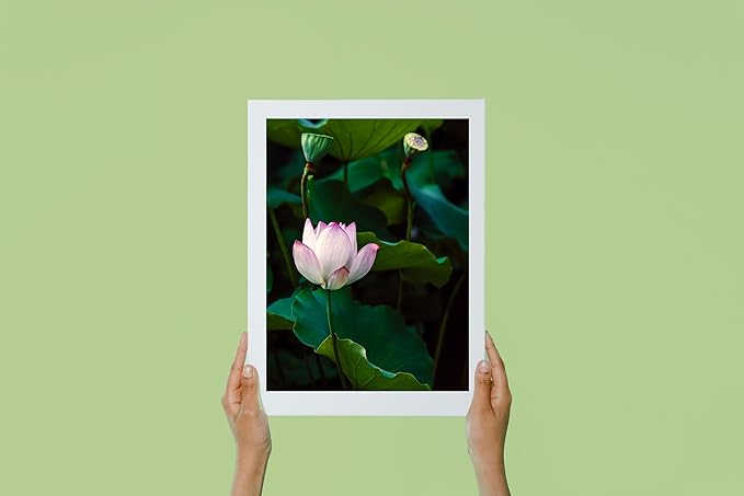 Oriental Beauty: Stunning Feng Shui Landscape Wall Art Vertical Prints for Home Decor in 3 Sizes (Serenity of a Pink Lotus, 12" x 18", Oriental Beauty)