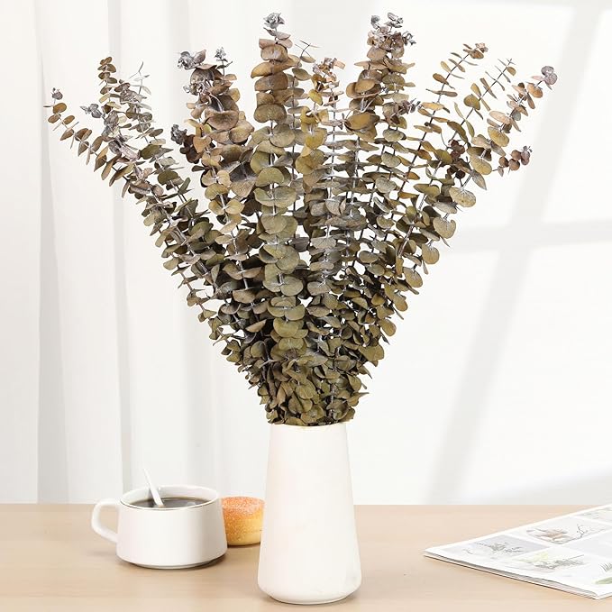 16 Pcs Dried Eucalyptus Stems, 17'' Natural Fresh Eucalyptus Leaves Branches Hanging for Shower, Preserved Real Yellow Plant Live for Home SPA Wall Bathroom Wedding Party Vase Decor