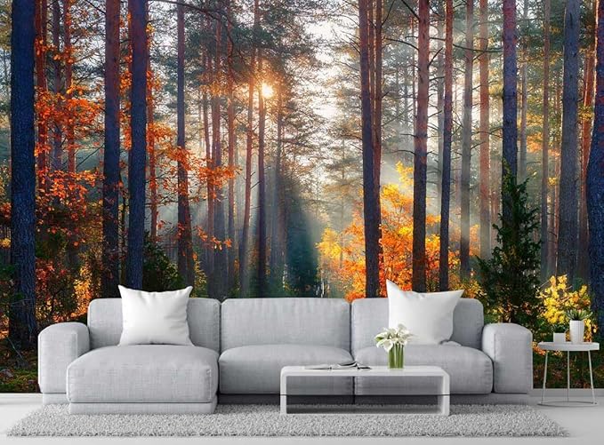 Autumn Sunshine in The Woods Wallpaper, Natural Landscape Mural, Modern Living Room Bedroom Backdrop Wall Mural(Non-self-Adhesive)