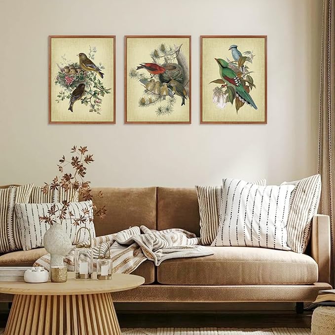 LHIUEM Audubon Birds Painting Framed Set of 3(12”X16”)Vintage Hummingbird Framed Prints Spring Birds Pictures Wall Decor Floral Bird Canvas Wall Art Farmhouse Bird Canvas Framed for Bedroom Livingroom