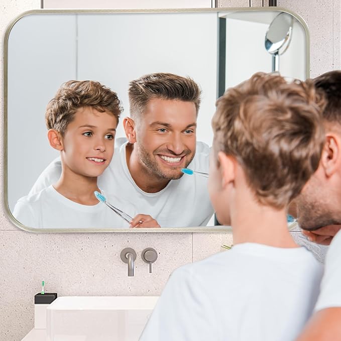 24x36 Inch Brushed Nickel Bathroom Mirror, Framed Rectangle Mirror with Rounded Corner, Brushed Mirror, Silver Bathroom Mirror for Over Sink, Vanity, Living Room, Bedroom, Horizontal/Vertical