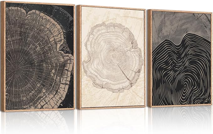 Beige Pastel Wood Tree Rings Framed Canvas Wall Art Set,Modern Nature Grey Wood Stump Wall Decor,Vintage Minimalist Tree Spiral Art Print for Living Room,Bedroom,Dining Room,Office-12 x16 x3