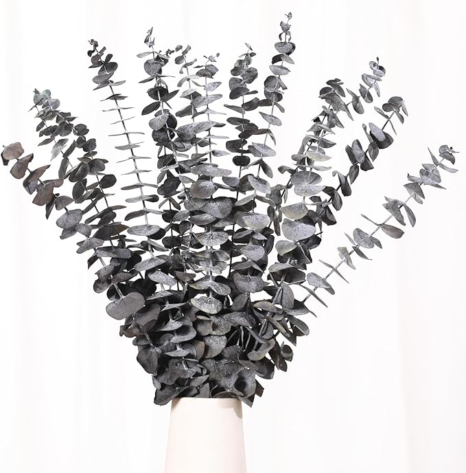 16 Pcs Dried Eucalyptus Stems, 17'' Natural Eucalyptus Leaves Branches Hanging for Shower, Preserved Real Black Plant Live Greenery for Home SPA Wall Bathroom Wedding Party Vase Decor