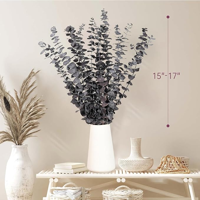 16 Pcs Dried Eucalyptus Stems, 17'' Natural Fresh Eucalyptus Leaves Branches Hanging for Shower, Preserved Real Purple Plant Live for Home SPA Wall Bathroom Wedding Party Vase Decor