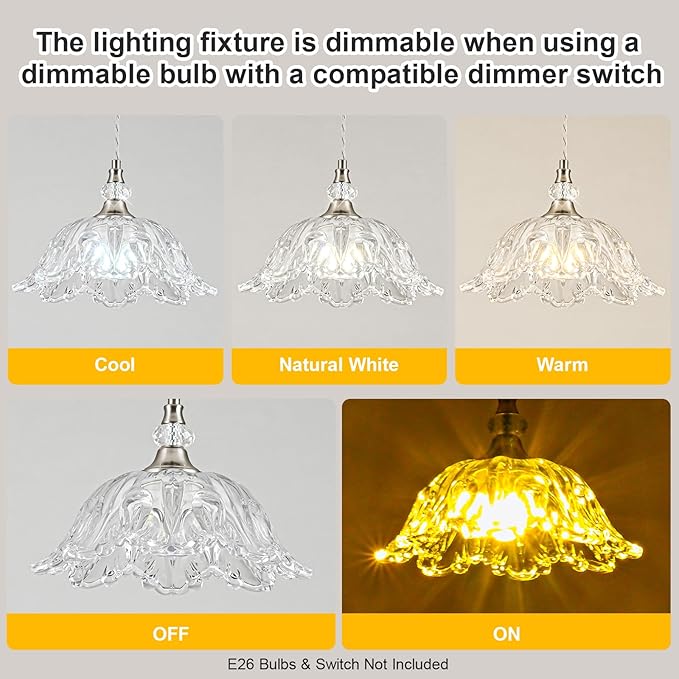 1 Piece Brushed Nickel Chandelier Light Fixtures with Glass Shade, Brushed Nickel Finish Pendant Light,Hanging Light for Dining Room,Hallways,Living Room,Bedroom