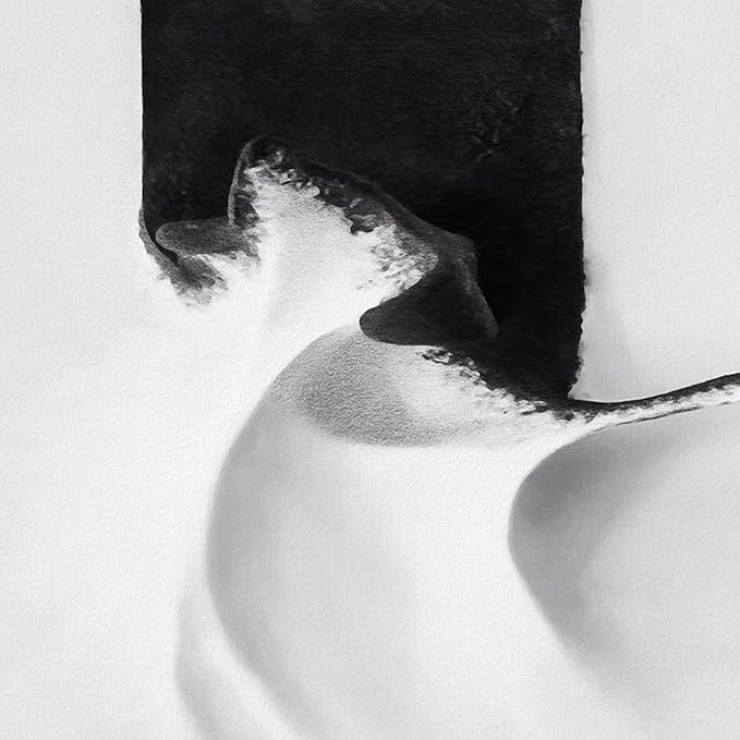 4 Panels Framed Abstract Black and White Wall Art Set, Modern Minimalist Line Print Home Decor, Canvas Pictures Paintings for Living Room Bedroom Bathroom Entryway and Dining Room 12x12 Inches