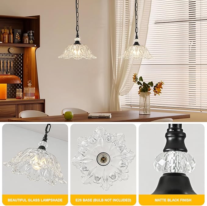 1 Piece Black Chandelier Light Fixtures with Crystal Glass Shade, Black Farmhouse Pendant Light,Hanging Light for Dining Room,Hallway,Living Room,Bedroom