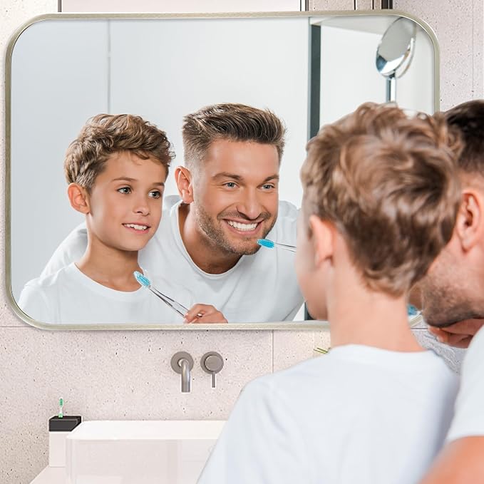 48x30 Inch Brushed Nickel Bathroom Mirror, Framed Rectangle Mirror with Rounded Corner, Brushed Mirror, Silver Bathroom Mirror for Over Sink, Vanity, Living Room, Bedroom, Horizontal/Vertical