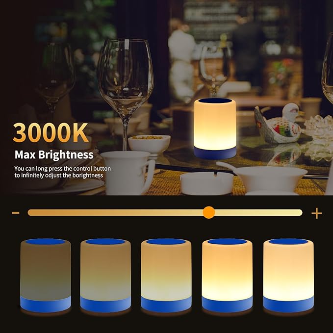 OORUN Touch Bedside Table Lamp,13 RGB Colors & 5 Brightness, USB Rechargeable Desk Lamp, Remote Control Dimmable Night Light with RGB Color Changing,Portable Lamp for Baby, Bedroom, Living Room (Blue)