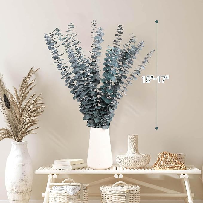 16 Pcs Dried Eucalyptus Stems, 17'' Natural Fresh Eucalyptus Leaves Branches Hanging for Shower, Preserved Real Blue Plant Live for Home SPA Wall Bathroom Wedding Party Vase Decor