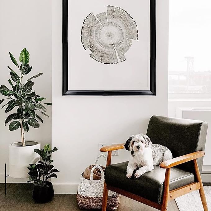 Black Molding Trim Chair Rail Panel Moulding | Peel and Stick Self-Adhesive Design | DIY Home Decor on The Cabinet Door Mirror Frame, 9.8 ft x 1.3 in