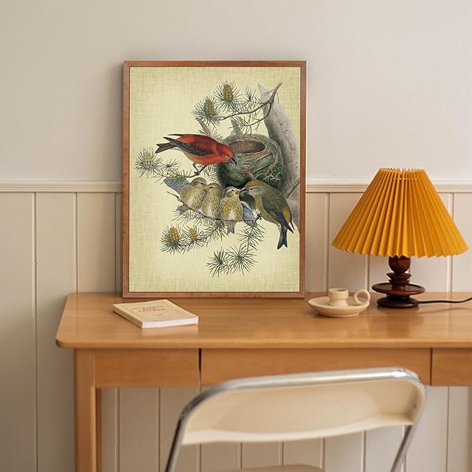 LHIUEM Audubon Birds Painting Framed Set of 3(12”X16”)Vintage Hummingbird Framed Prints Spring Birds Pictures Wall Decor Floral Bird Canvas Wall Art Farmhouse Bird Canvas Framed for Bedroom Livingroom