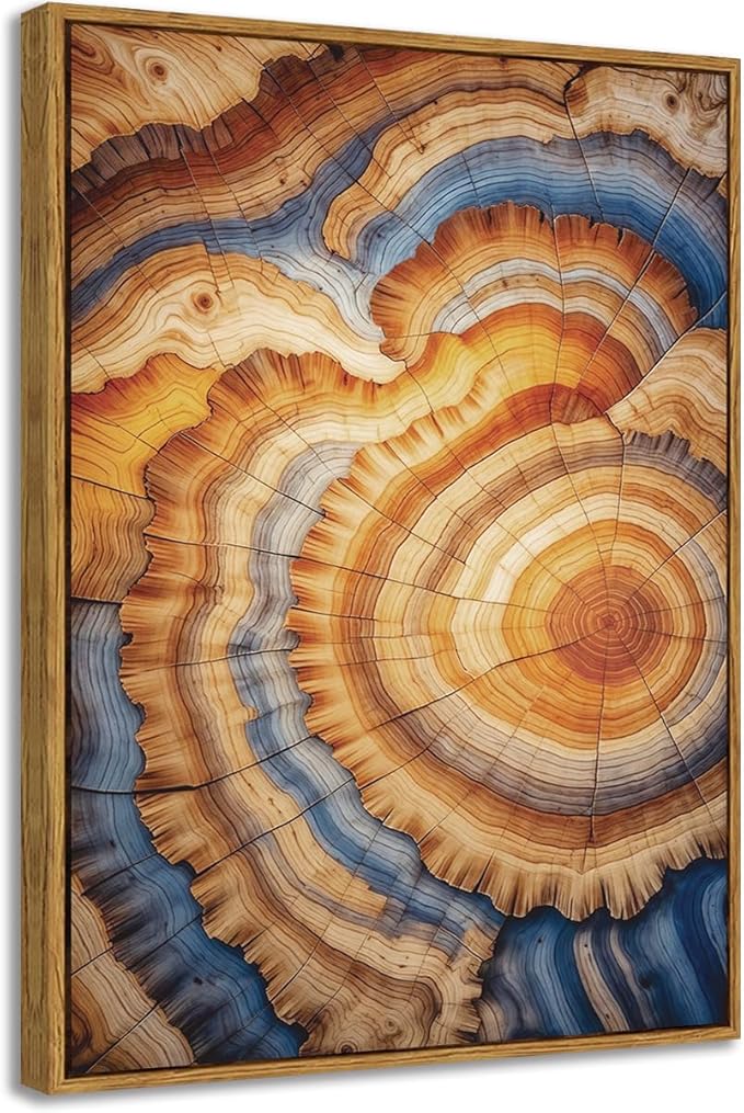 BingruiArt Framed Tree Ring Canvas Wall Art Abstract Wood Wall Decor Boho Modern Colorful Nature Painting Wood Stump Prints Pictures for Living Room Bedroom Bathroom Office 12"x16" Natural Framed(09)