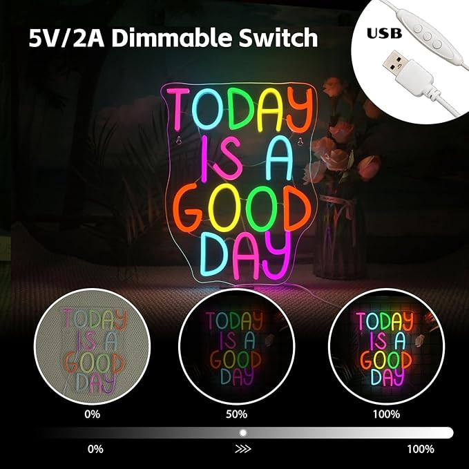 Looklight Today is a Good Day Neon Signs for Wall Decor LED Light Sign Decoration for Bar Cafe Shop Restaurant Hotel Bedroom Celebrate Party Best Gift for Family Lovers