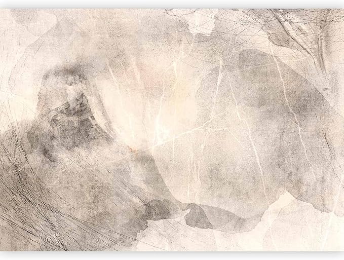 artgeist Wall Mural Abstract 116x83 in - Peel and Stick Self-Adhesive Wallpaper Removable Large Sticker Foil Wall Decor Print Picture Image Design Concrete Stone Like Painted a-A-10237-a-a