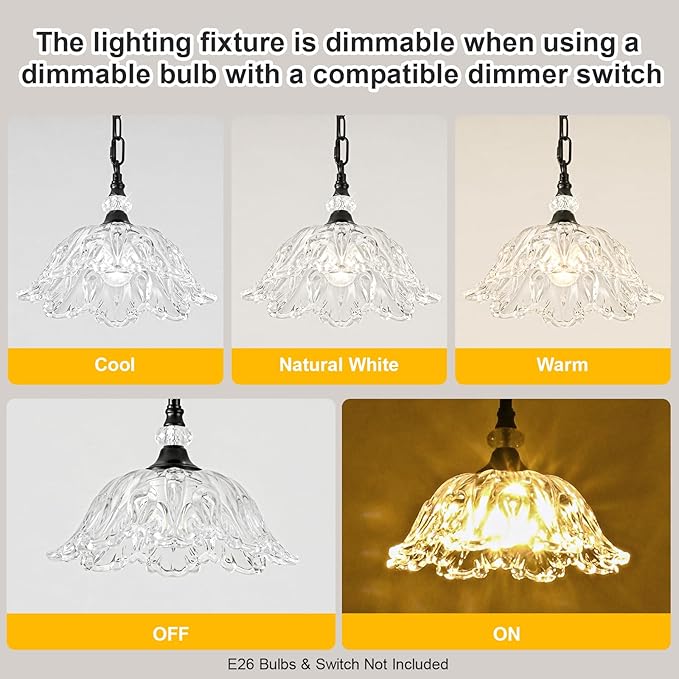 1 Piece Black Chandelier Light Fixtures with Crystal Glass Shade, Black Farmhouse Pendant Light,Hanging Light for Dining Room,Hallway,Living Room,Bedroom