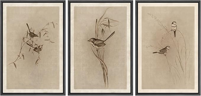 MUDECOR Framed Wall Art Print Set Vintage Bird Wheat Ear Illustrations Modern Art Boho Decorative Colorful Chic for Living Room, Bedroom, Office - 16"x24"x3 Black