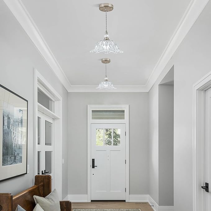 1 Piece Brushed Nickel Chandelier Light Fixtures with Glass Shade, Brushed Nickel Finish Pendant Light,Hanging Light for Dining Room,Hallways,Living Room,Bedroom