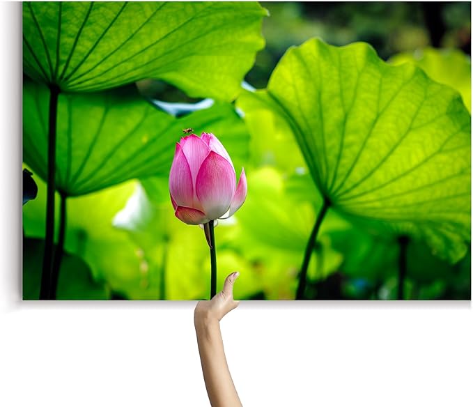 Oriental Beauty: Stunning Feng Shui Landscape Wall Art Prints for Home Decor in 3 Sizes (Graceful Emergence: Lotus Blossom and Its Visitor) (12" x 18)